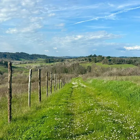 Holiday home Podere Il Casino, Colline Di Peccioli Monte Lopio