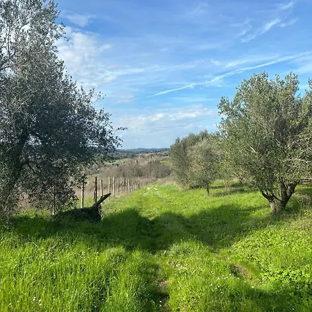 Podere Il Casino, Colline Di Peccioli Monte Lopio